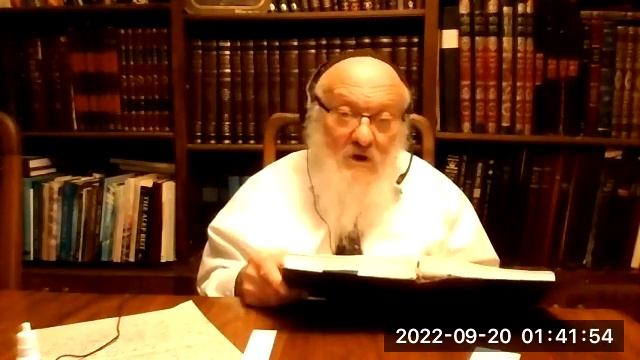 29. Выбор и предопределенность. смотреть онлайн