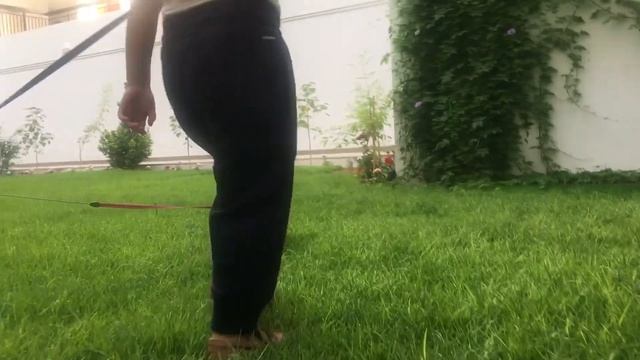 Me and my Dog Friends! смотреть онлайн