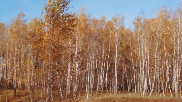 Наш первый проект " Осень в родном городе" смотреть онлайн