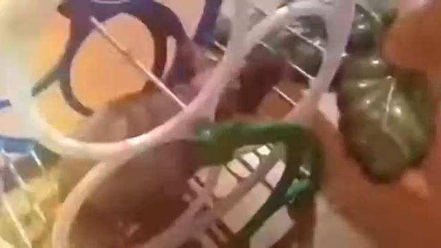 Моя крыса смотреть онлайн