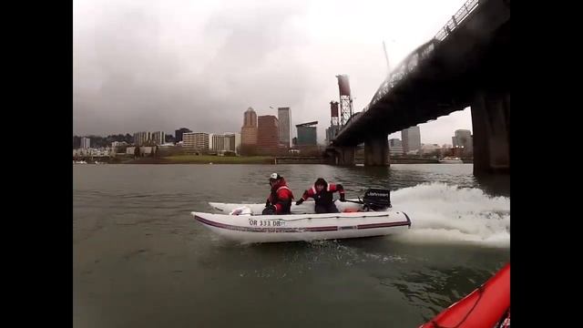 Cardinal X-Treme 422 Cat First Look смотреть онлайн