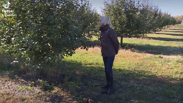 Осенние работы в саду смотреть онлайн