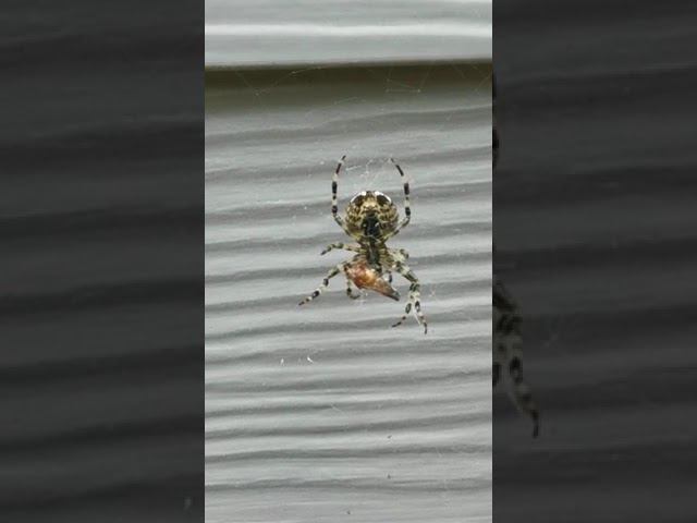 1 августа 2022 г. смотреть онлайн