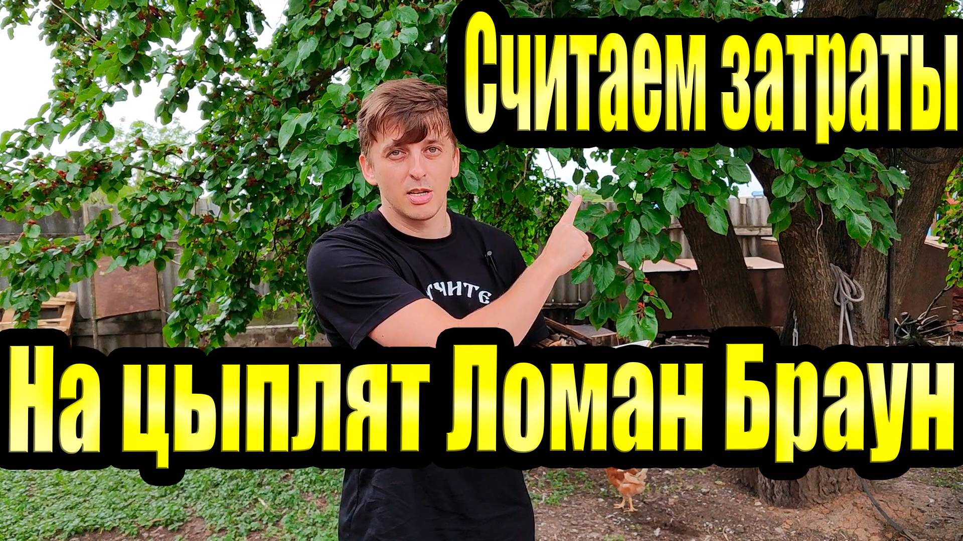 Затраты на цыплят ЛОМАН БРАУН. Пока одни убытки смотреть онлайн