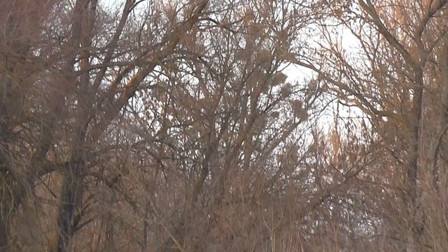 Рівень води в Сулі # Порівняння з минулим роком смотреть онлайн