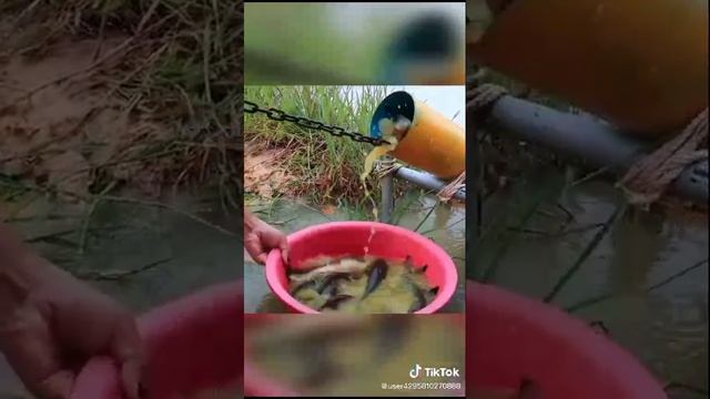 VID-20231204-WA0009.mp4