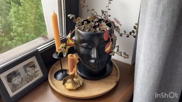 БОЛЬШОЙ ЗАКАЗ СИМА-ЛЕНД и обзор ФИКС ПРАЙС смотреть онлайн