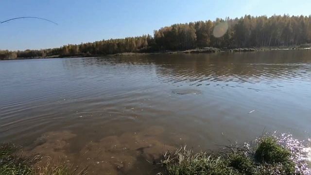 Жарит на 100%.Песня про РЕАЛЬНЫХ РЫБАКОВ. Слушать только Мужикам. смотреть онлайн