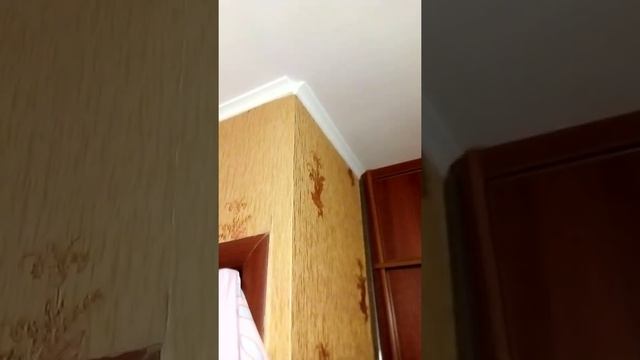 делаю кухню с коридором смотреть онлайн