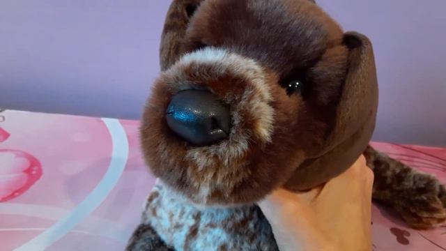 Review Of Wolfgang The German Short-haired Pointer Plush Dog By Douglas Cuddle Toys 🐶💙