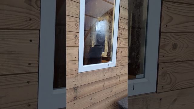 Кошкин дом. Обзор смотреть онлайн