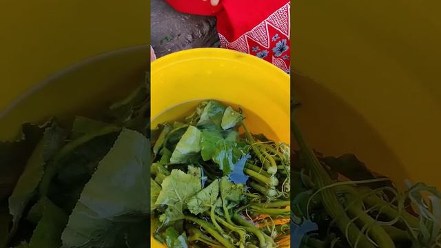 Необычные овощи в Африке #африка смотреть онлайн