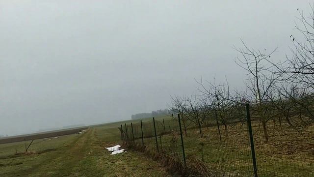 Vlog. Хутор в Латвии.В гостях у подруги.Ленивые голубцы.#латвия #хутор#готовимленивыеголубцы#цветы смотреть онлайн