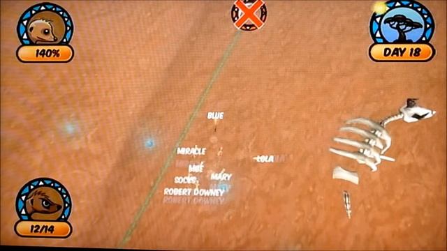 Lead the Meerkats - Day 18 смотреть онлайн