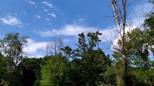 17 июня - Митрофанов день смотреть онлайн