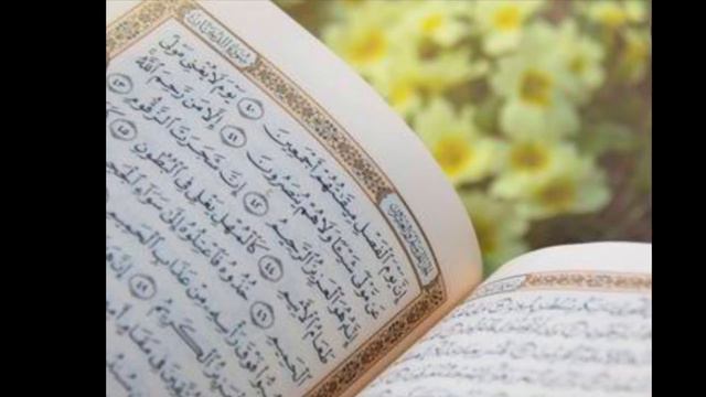 Surat Ash-Shams repeated 10 times by Abu Bakr Ash-Shatri смотреть онлайн