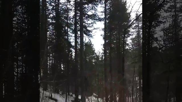 Троодос. Кипр. Февраль 2017. Идем к водопаду Каледония смотреть онлайн