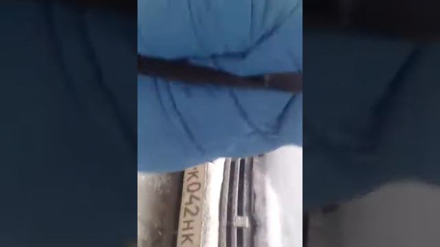 Котоны посмотрите смотреть онлайн