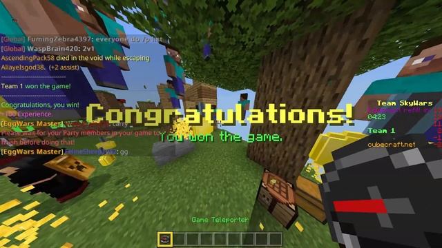 Playing 10v10 Skywars With Mega Sweats! смотреть онлайн