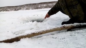 Мороз крепчает, а лёд размывает. Рыбалка зимой в Алтайском крае.