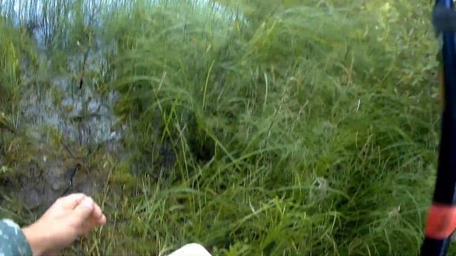 Щука на мормышку. МОРМЫШИНГ. Спиннинг ультралайт. смотреть онлайн