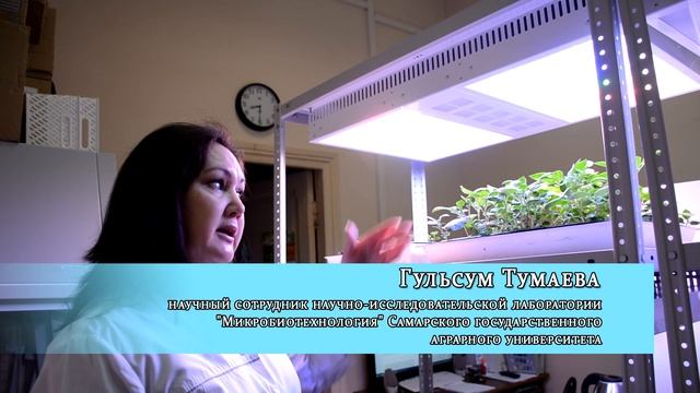 Самарские ученые создают лампы с оптимальными характеристиками света для разных агрокультур смотреть онлайн