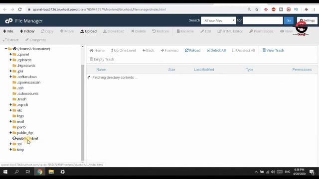 How to Remove ADMIN BAR from WordPress Site 2020 Latest Method in Urdu/Hindi смотреть онлайн