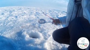 Ловля Хариуса весной | Рыбалка на Байкале весной 2017! ВОТ ЭТО ХАРИУС!!!