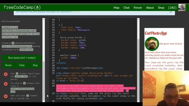 Link to External Pages with Anchor Elements, freeCodeCamp review html & css, lesson 21 смотреть онлайн