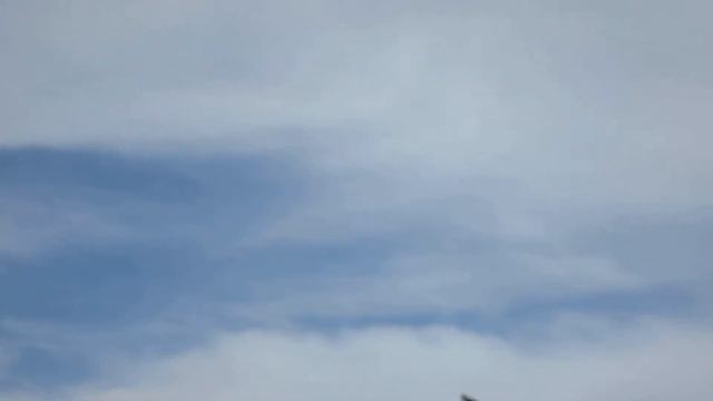 Огромная стая орлов в Крыму смотреть онлайн