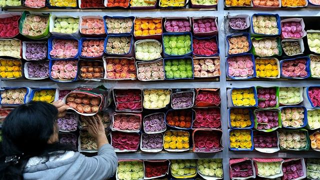 Эксперты назвали лучшие подарки для женщин на 8 марта смотреть онлайн