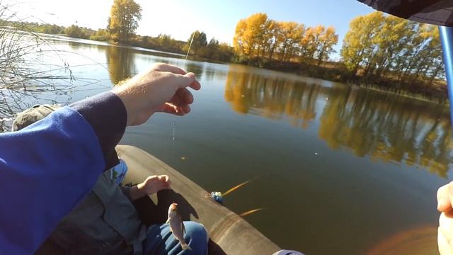 Ловля плотвы осенью с лодки на поплавок. 24.09.16г. смотреть онлайн