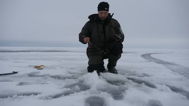 БЕШЕНЫЙ клёв КРУПНОГО ОКУНЯ 2020 смотреть онлайн