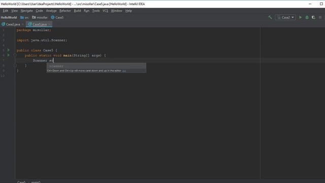 JAVA examples of case operator смотреть онлайн