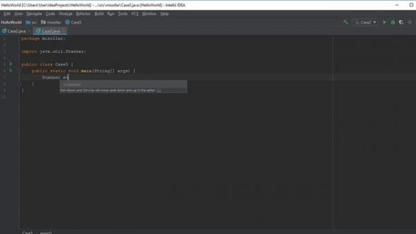 JAVA examples of case operator