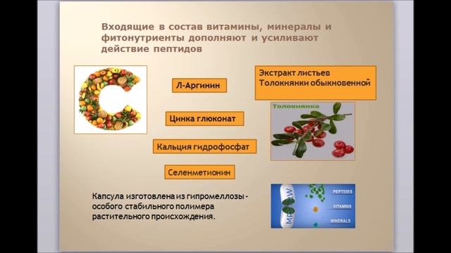 Здоровые почки — залог общего здоровья смотреть онлайн