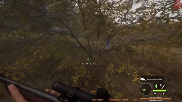 ⏯️ theHunter: Call of the Wild : Пёс по имени мухтар смотреть онлайн