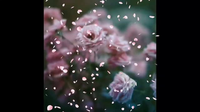 Очень красивый нашид _heart_eyes_ ta'alav ilal hairi ya muslimun.- nasheed- нашид смотреть онлайн