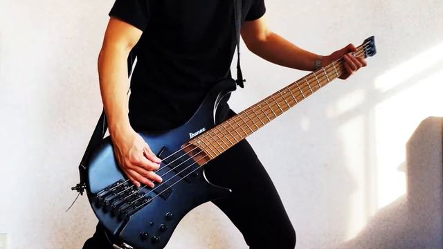 Muse - WON'T STAND DOWN || Bass Cover смотреть онлайн