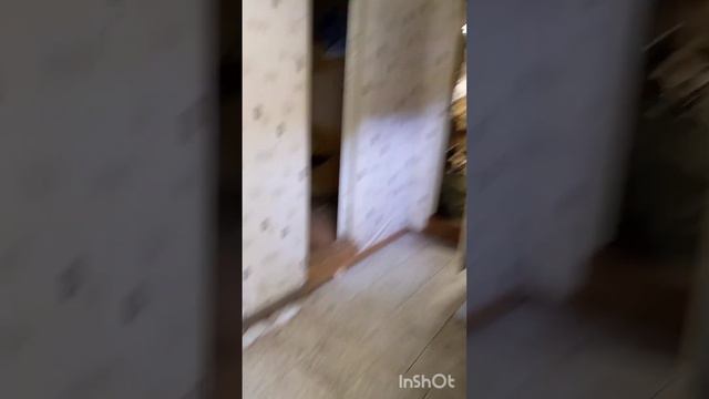 Купили заброшенную дачу! смотреть онлайн