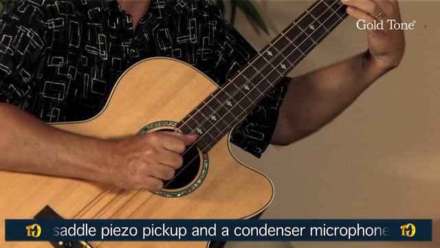 Gold Tone ABG-4 Acoustic Bass Guitar смотреть онлайн