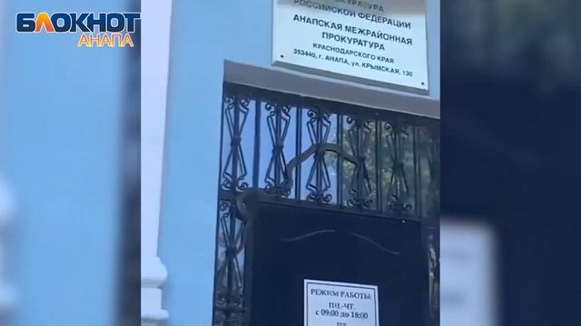Огромная змея пришла на прием в Анапскую прокуратуру смотреть онлайн