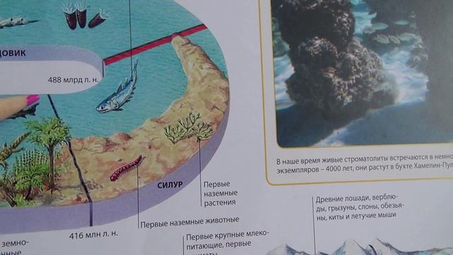 Эволюция жизни на земле! 20 смотреть онлайн