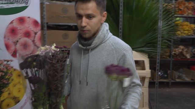 Обзор сантини Калимеро. смотреть онлайн