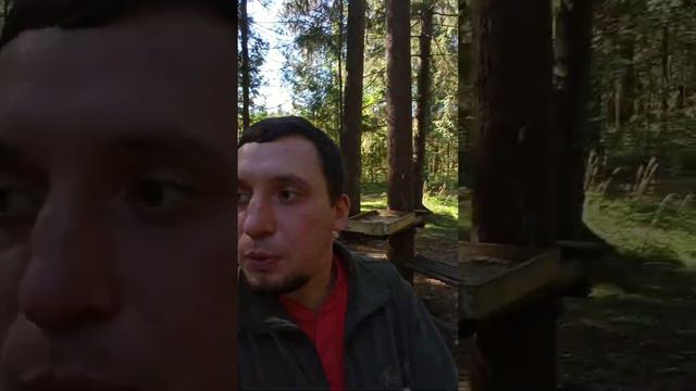 варган и репчик в лесу смотреть онлайн