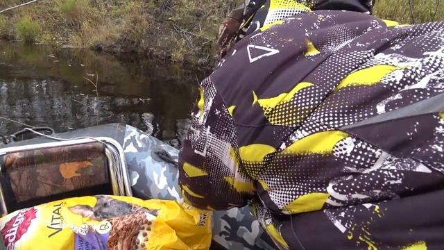 Щучье озеро. Улетают гуси - скоро зима..... смотреть онлайн