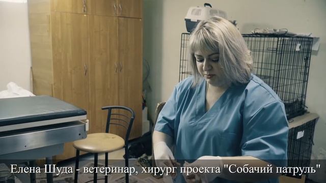 Презентация проекта 