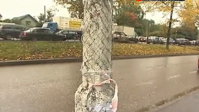 Антивандальное покрытие Graffiti Magic смотреть онлайн