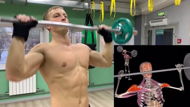 Армейский жим(жим штанги стоя) техника выполнения смотреть онлайн