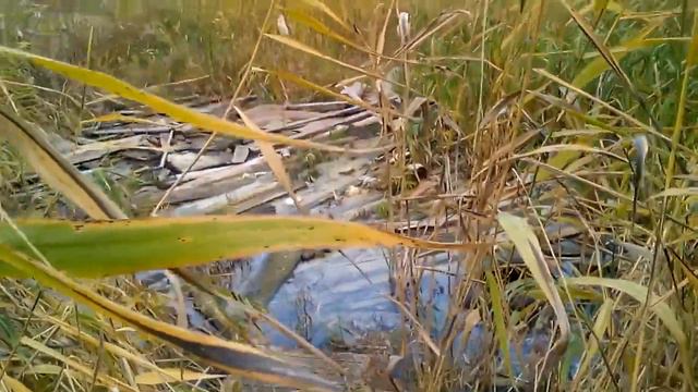 есть такое понятие Родина смотреть онлайн